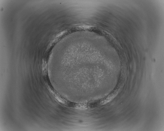 X0000087640624200705181527