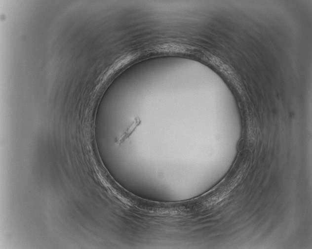 X0000087640625200705181526