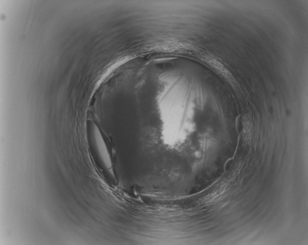 X0000087640626200705181526