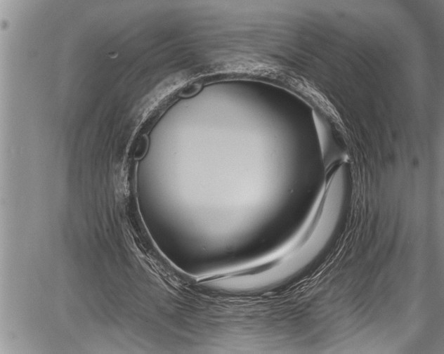 X0000087640628200705181526