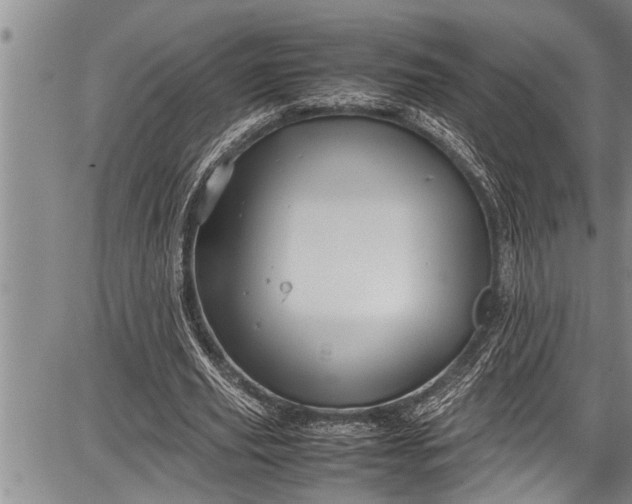 X0000087640629200705181526