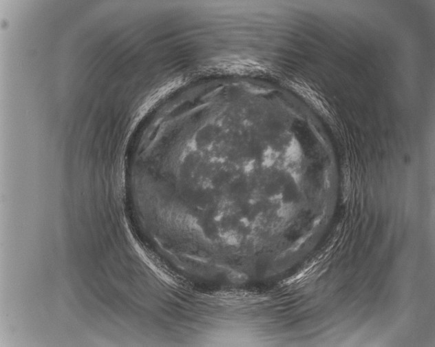 X0000087640630200705181526