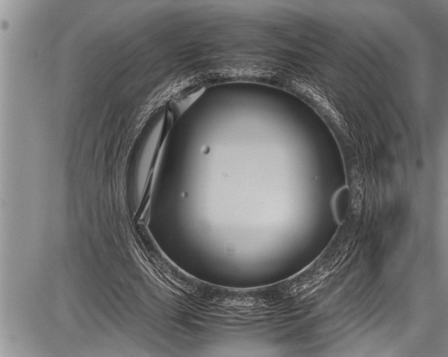 X0000087640631200705181526