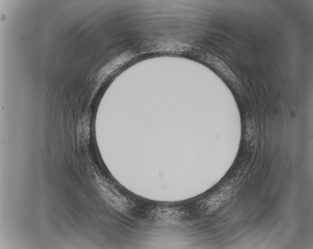 X0000087640632200705181526