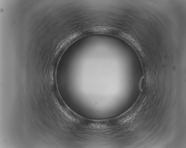 X0000087640633200705181526