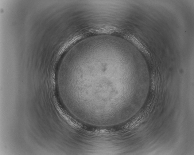 X0000087640634200705181526