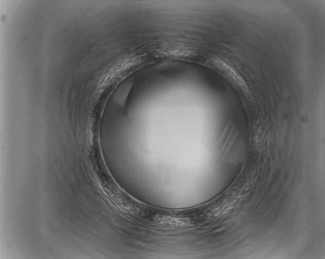 X0000087640635200705181526