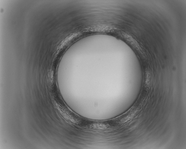 X0000087640636200705181526