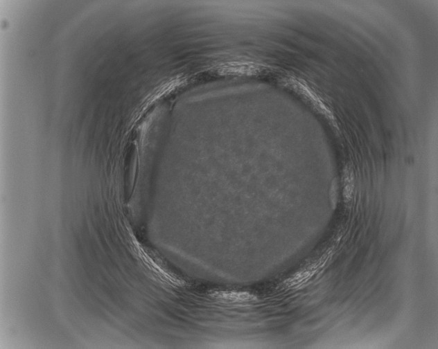 X0000087640637200705181526