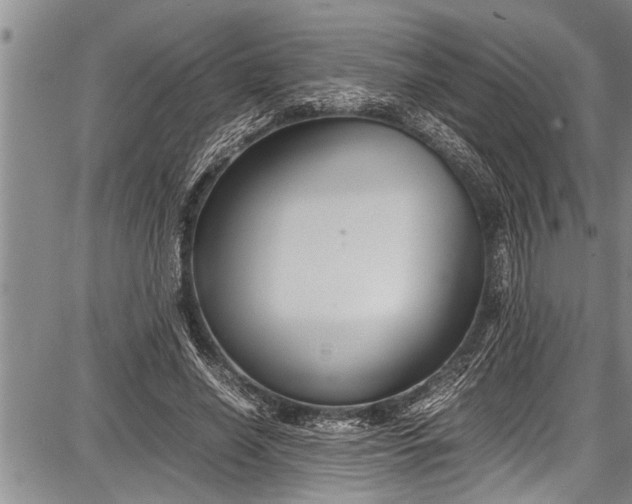 X0000087640638200705181526