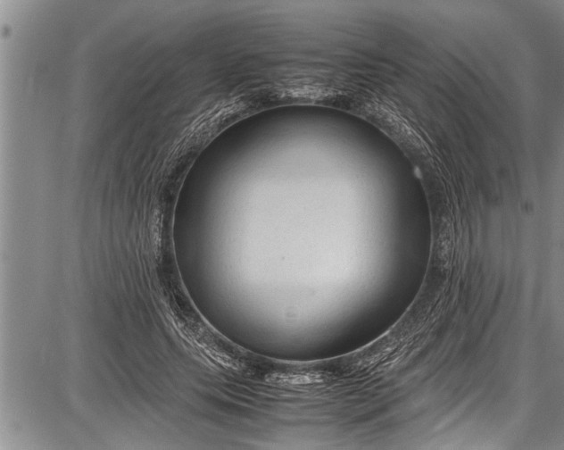 X0000087640639200705181526