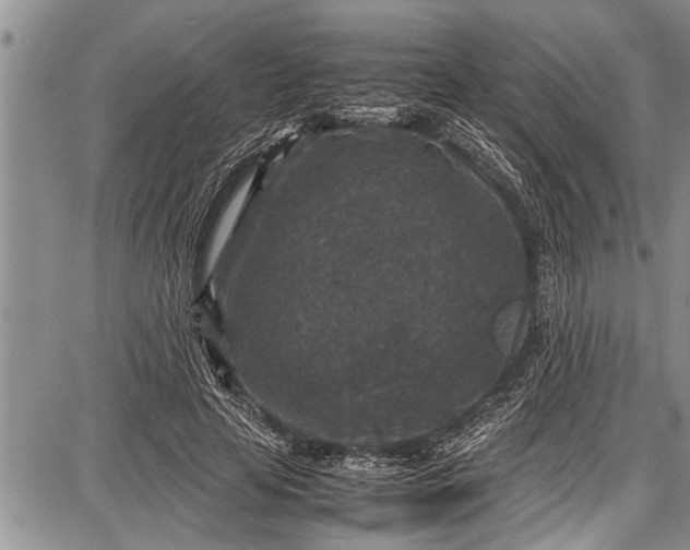 X0000087640641200705181526