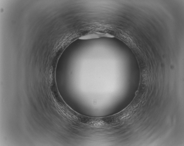 X0000087640642200705181526