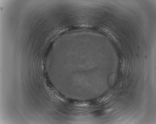 X0000087640643200705181526