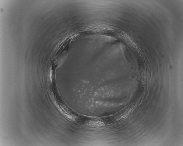 X0000087640644200705181526