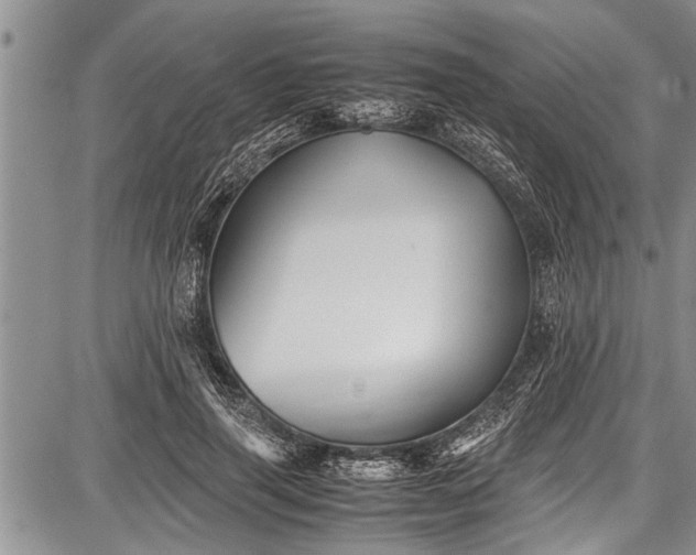 X0000087640645200705181526