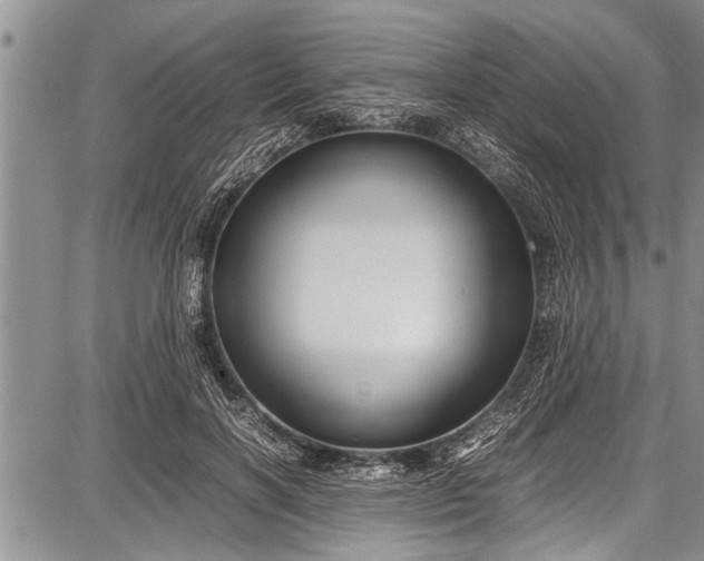 X0000087640646200705181526