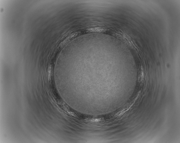 X0000087640647200705181526