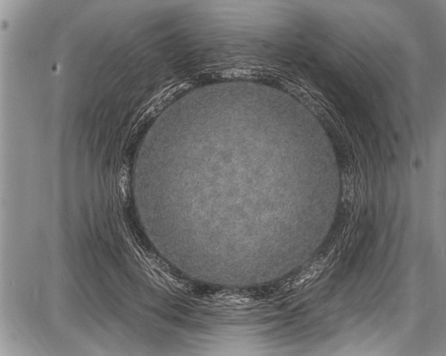 X0000087640648200705181526