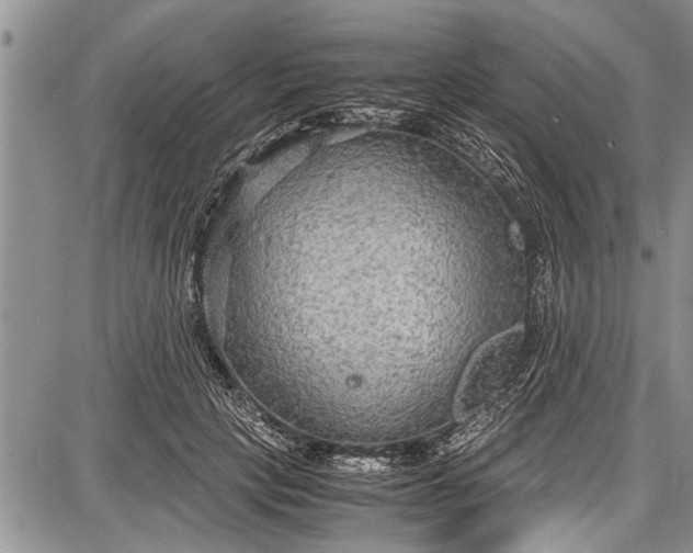 X0000087640649200705181526