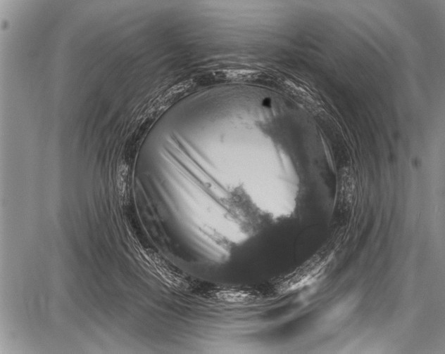 X0000087640650200705181526