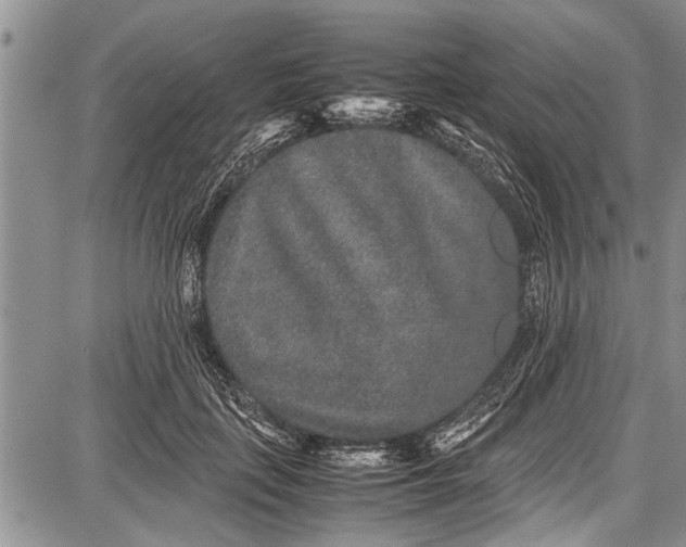 X0000087640651200705181526