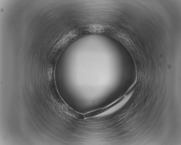 X0000087640652200705181526