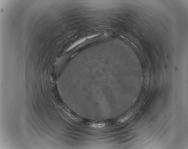 X0000087640653200705181526