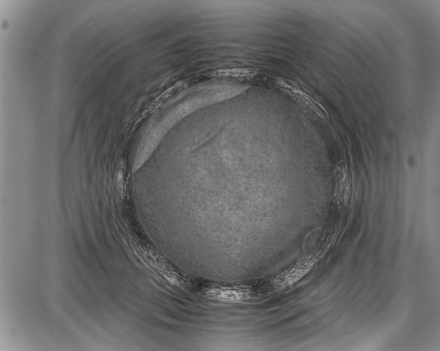 X0000087640655200705181527