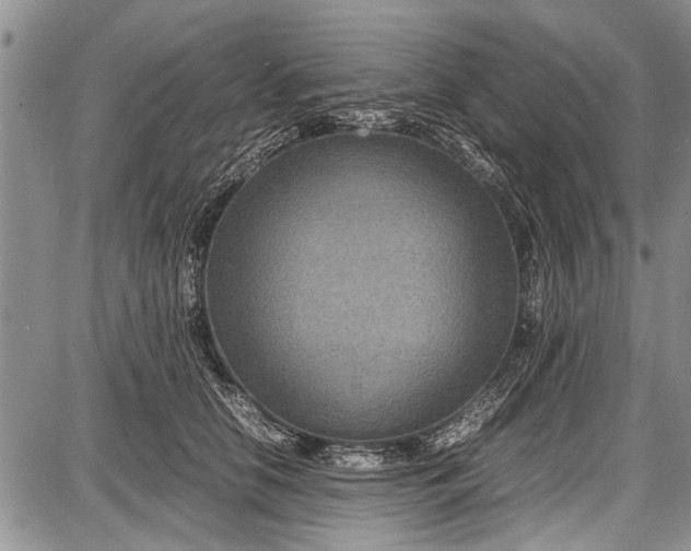 X0000087640658200705181527