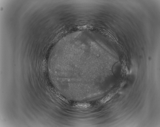 X0000087640659200705181527