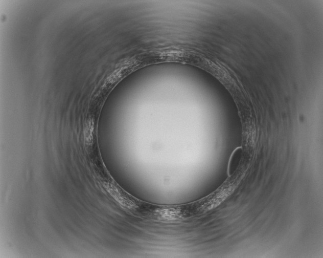 X0000087640660200705181527