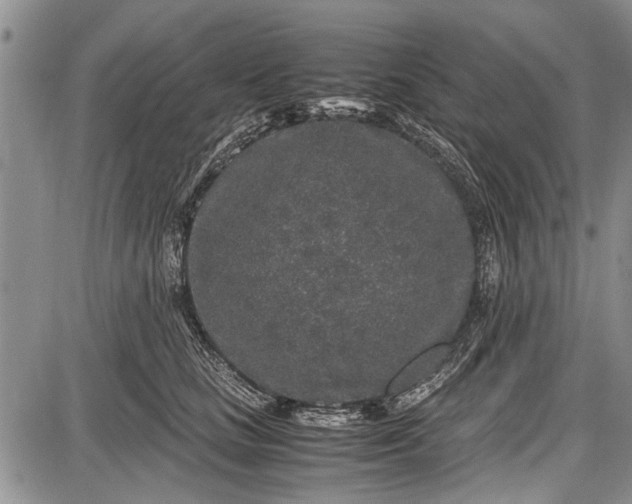 X0000087640661200705181527