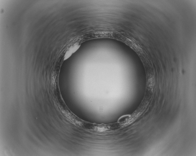 X0000087640662200705181527