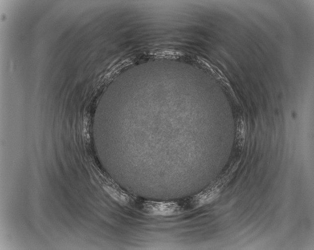 X0000087640663200705181527