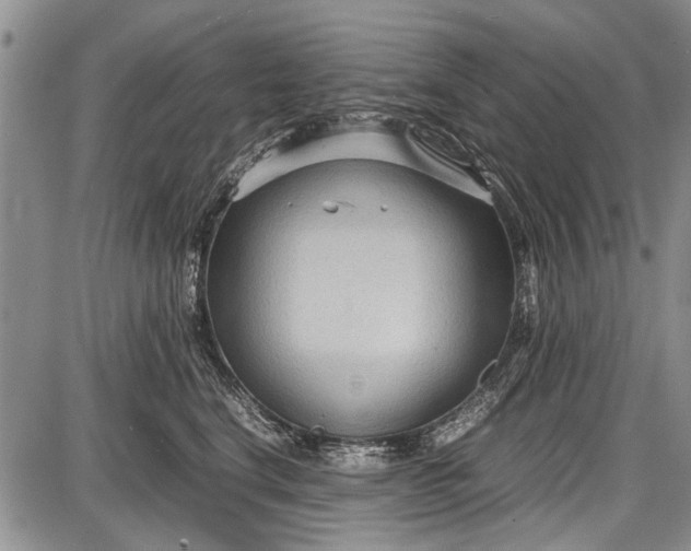 X0000087640664200705181527