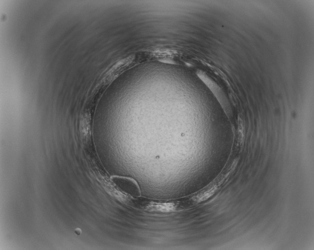 X0000087640665200705181527