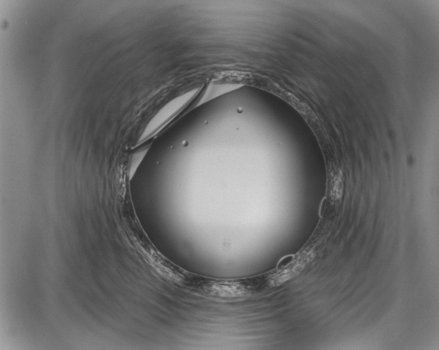 X0000087640666200705181527