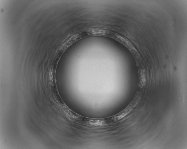 X0000087640667200705181527