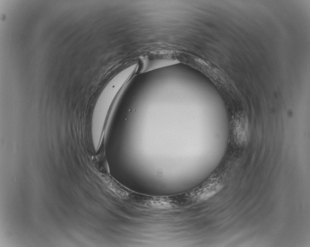 X0000087640668200705181527