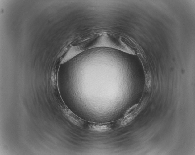 X0000087640669200705181527