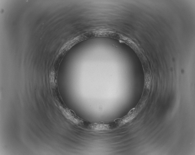 X0000087640670200705181527