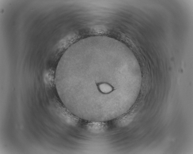 X0000087640672200705181527