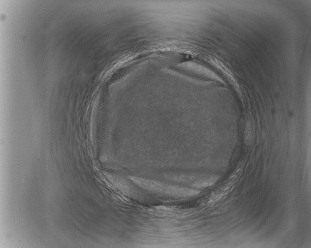 X0000087640673200705181526