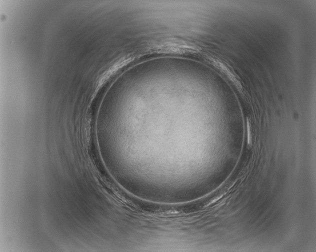 X0000087640675200705181526