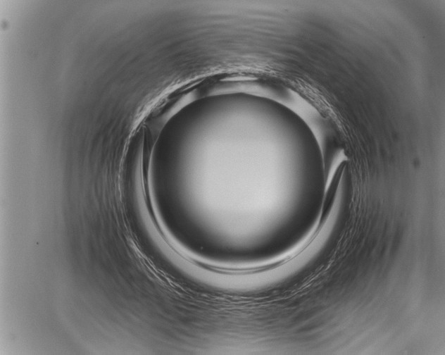 X0000087640676200705181526