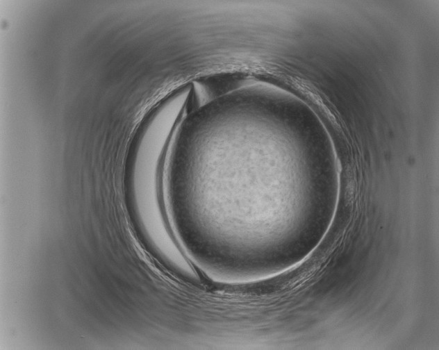 X0000087640677200705181526