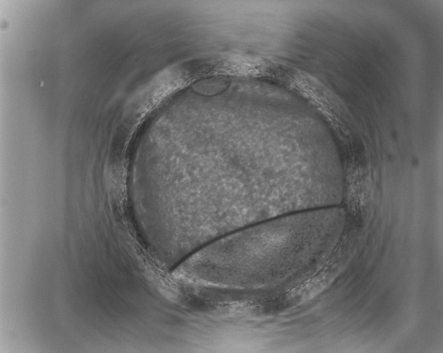 X0000087640679200705181526