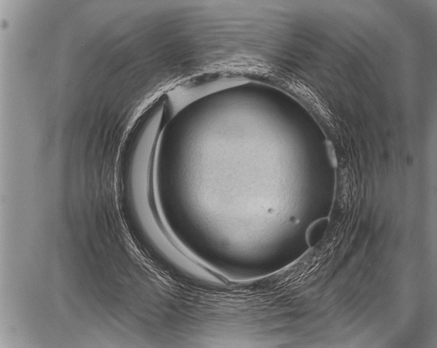 X0000087640680200705181526