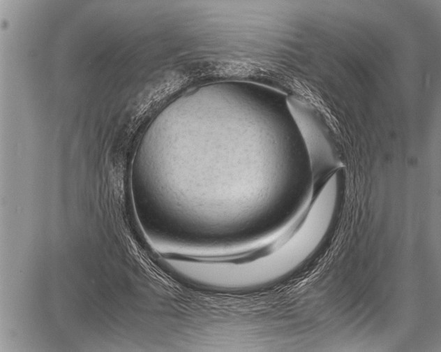 X0000087640681200705181526